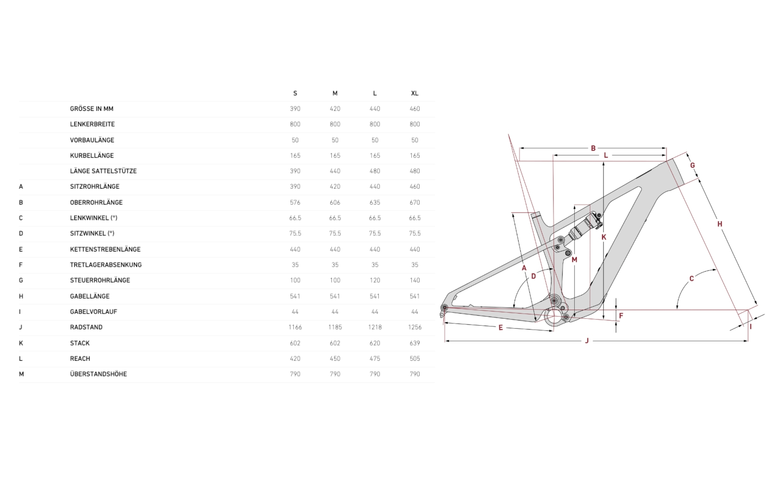 Focus VAM2 SL 9.9 Fazua Ride60 430Wh Geometrie