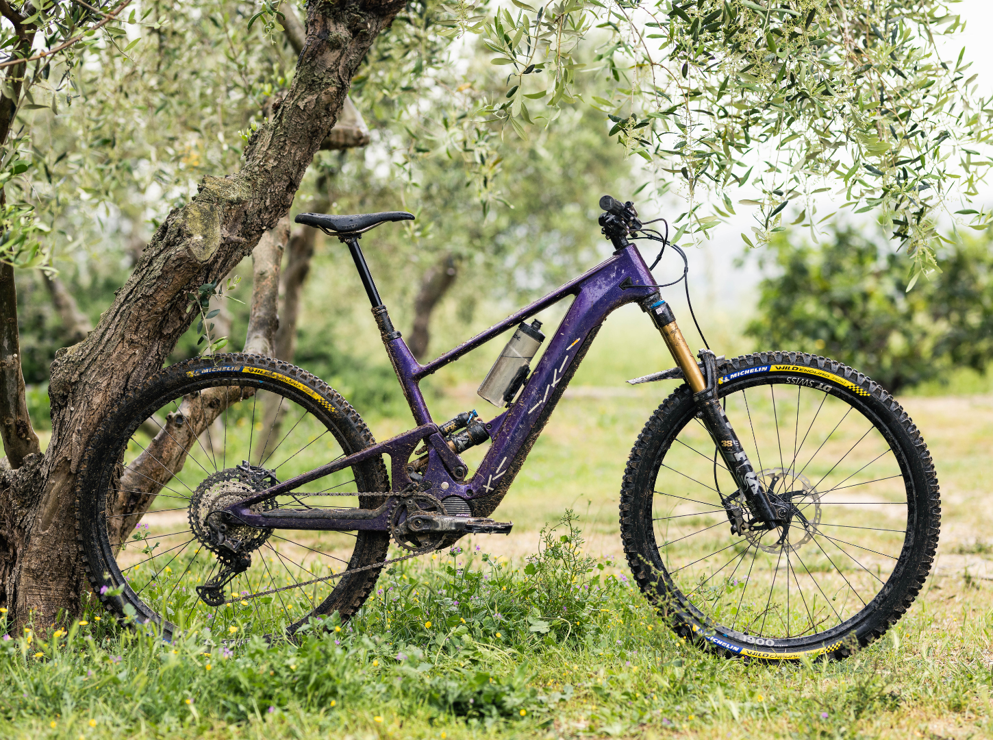 Outdoor Produktfoto vom SCOR 4060Z EMTB von der Seite angelehnt an einem Baum in einer Wiese