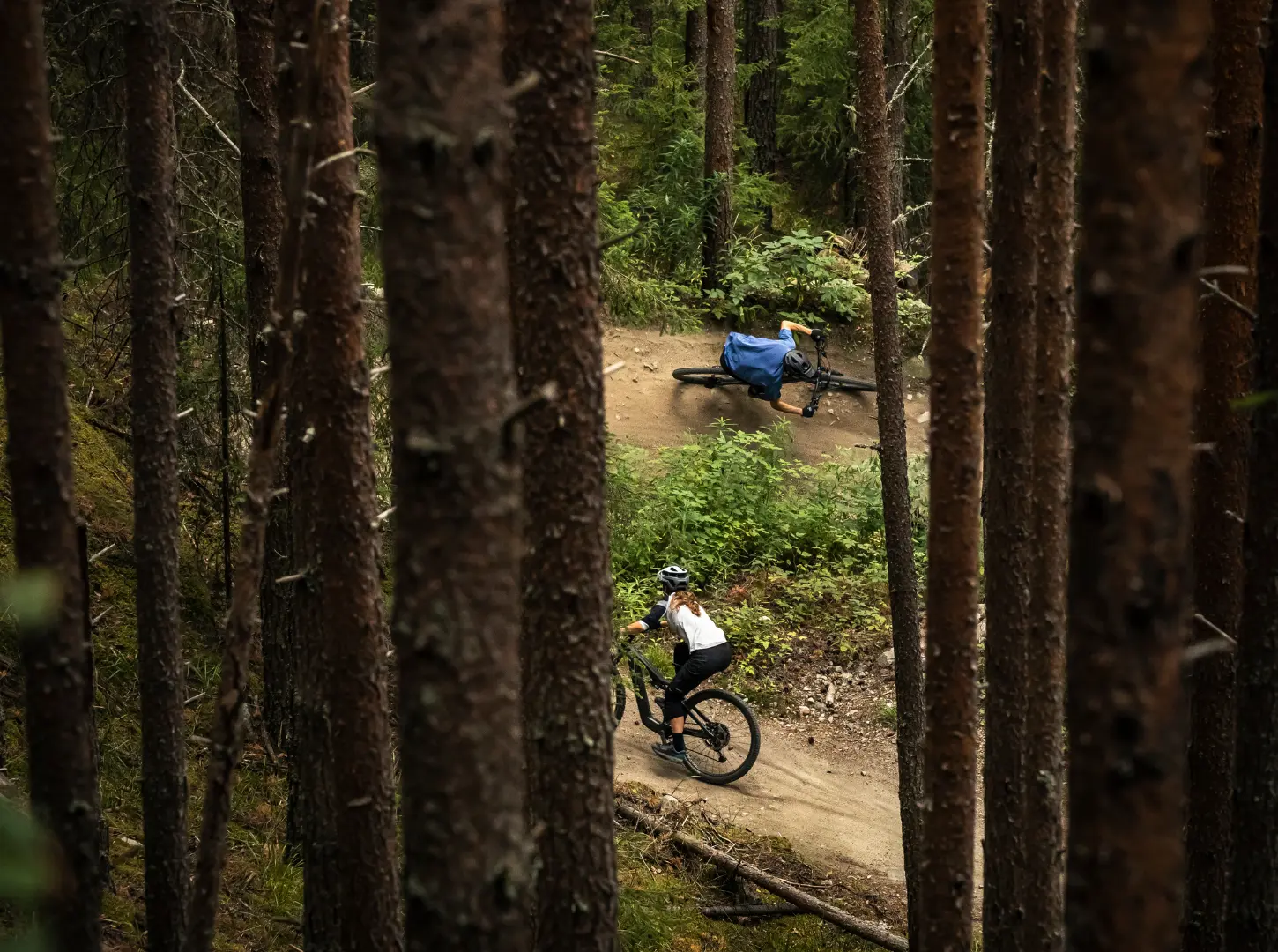 Zwei Light EMountainbike Fahrer mit ihren Focus Jam2 SL Modellen in Action im Wald