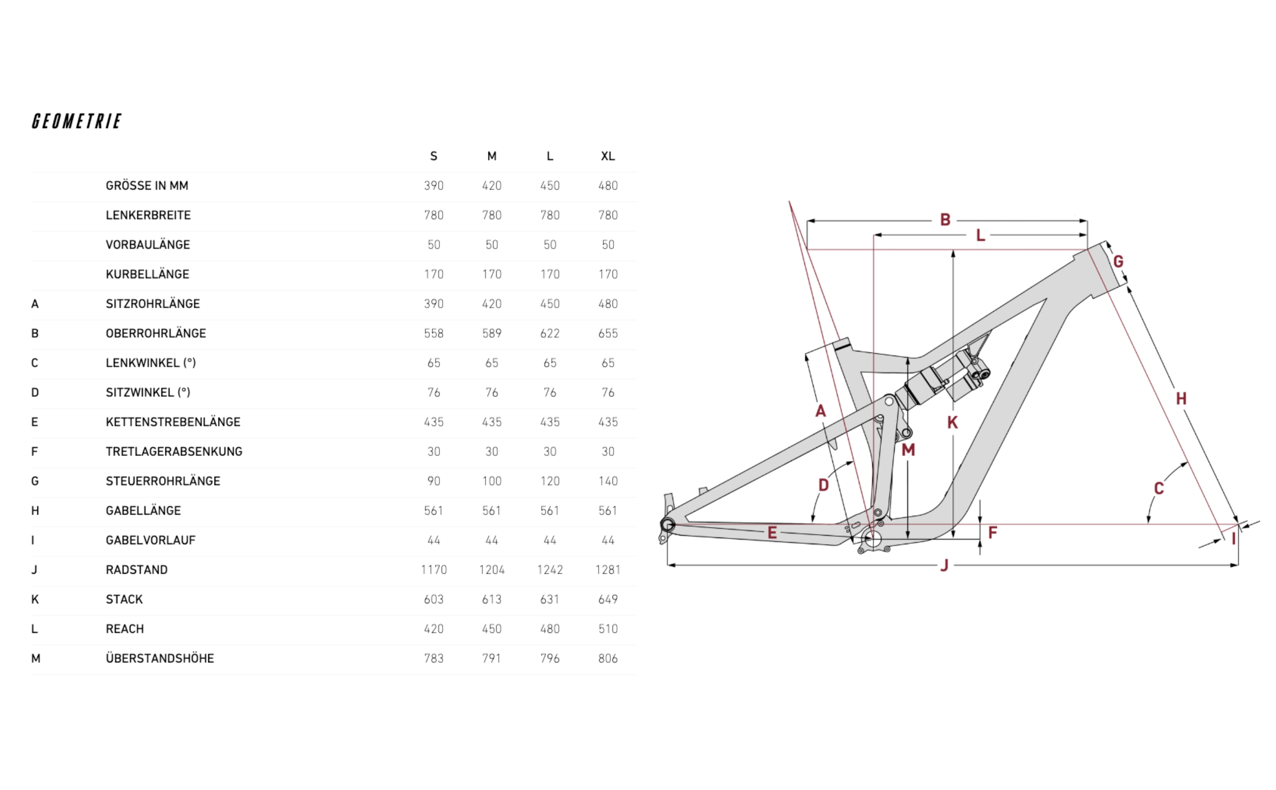 Focus Jam 8.9 Geometrie